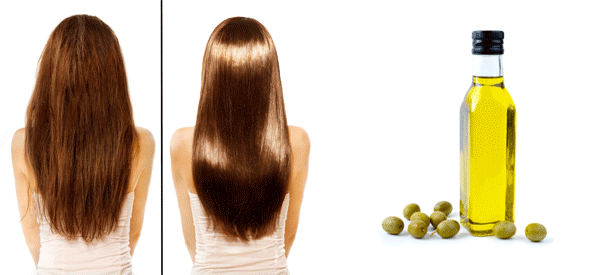 aceite de oliva y cabello